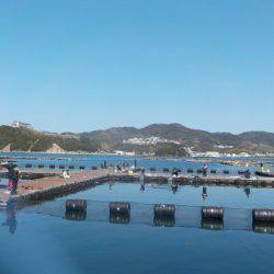 淡路じゃのひれフィッシングパーク 釣果