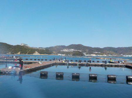 淡路じゃのひれフィッシングパーク 釣果