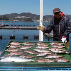 淡路じゃのひれフィッシングパーク 釣果