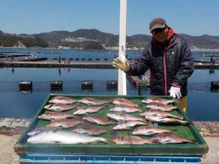 淡路じゃのひれフィッシングパーク 釣果