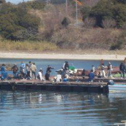 淡路じゃのひれフィッシングパーク 釣果