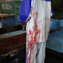 淡路じゃのひれフィッシングパーク 釣果