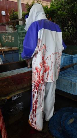 淡路じゃのひれフィッシングパーク 釣果