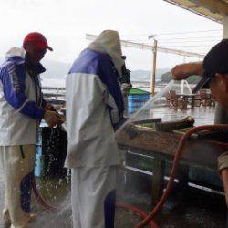 淡路じゃのひれフィッシングパーク 釣果