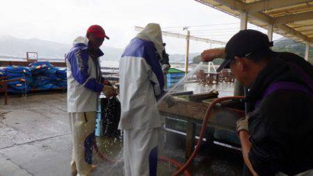 淡路じゃのひれフィッシングパーク 釣果