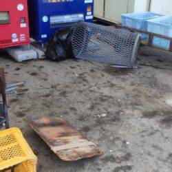 淡路じゃのひれフィッシングパーク 釣果