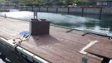 淡路じゃのひれフィッシングパーク 釣果