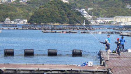 淡路じゃのひれフィッシングパーク 釣果