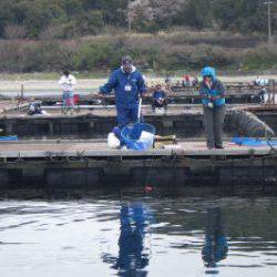 淡路じゃのひれフィッシングパーク 釣果