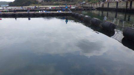 淡路じゃのひれフィッシングパーク 釣果