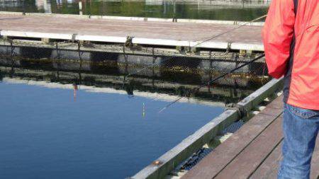 淡路じゃのひれフィッシングパーク 釣果