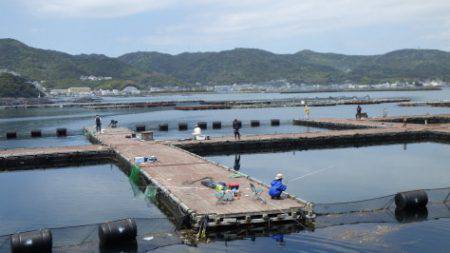 淡路じゃのひれフィッシングパーク 釣果