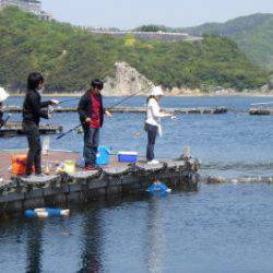 淡路じゃのひれフィッシングパーク 釣果