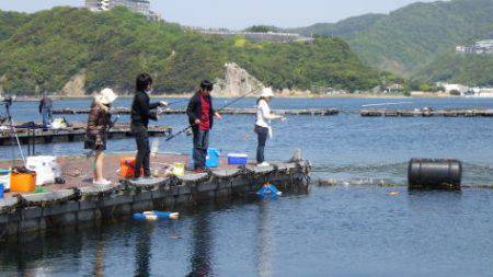 淡路じゃのひれフィッシングパーク 釣果