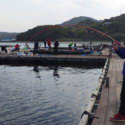 淡路じゃのひれフィッシングパーク 釣果