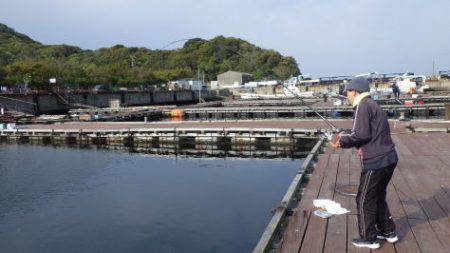 淡路じゃのひれフィッシングパーク 釣果