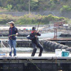 淡路じゃのひれフィッシングパーク 釣果