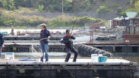 淡路じゃのひれフィッシングパーク 釣果