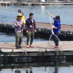 淡路じゃのひれフィッシングパーク 釣果