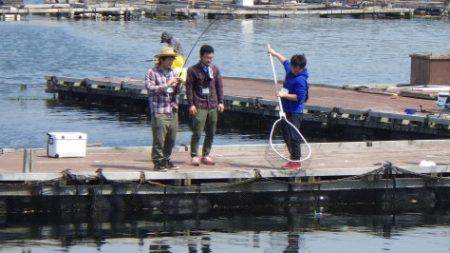 淡路じゃのひれフィッシングパーク 釣果