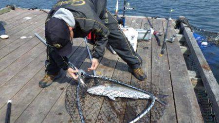 淡路じゃのひれフィッシングパーク 釣果