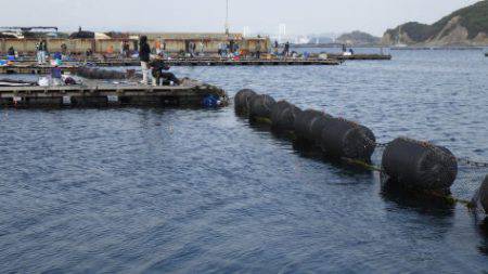 淡路じゃのひれフィッシングパーク 釣果