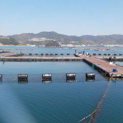 淡路じゃのひれフィッシングパーク 釣果