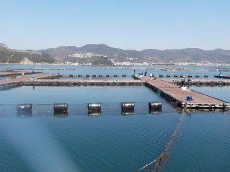 淡路じゃのひれフィッシングパーク 釣果