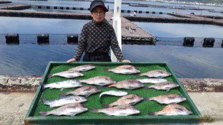 淡路じゃのひれフィッシングパーク 釣果