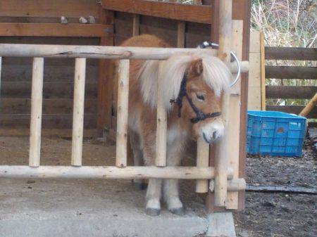 淡路じゃのひれフィッシングパーク 釣果