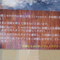 淡路じゃのひれフィッシングパーク 釣果