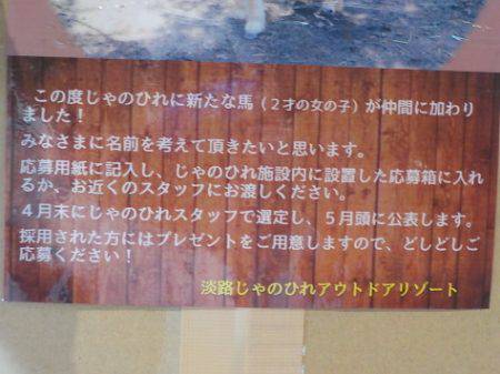 淡路じゃのひれフィッシングパーク 釣果