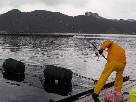 淡路じゃのひれフィッシングパーク 釣果
