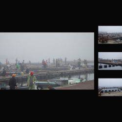 淡路じゃのひれフィッシングパーク 釣果