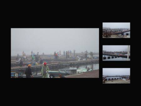 淡路じゃのひれフィッシングパーク 釣果