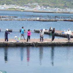 淡路じゃのひれフィッシングパーク 釣果