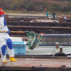 淡路じゃのひれフィッシングパーク 釣果