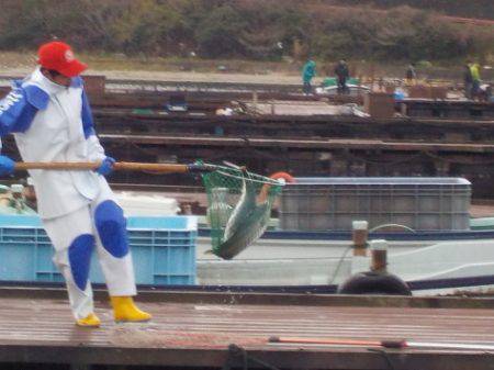 淡路じゃのひれフィッシングパーク 釣果