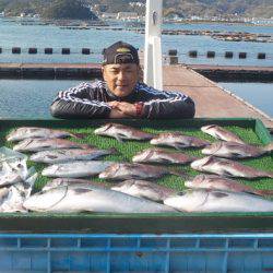 淡路じゃのひれフィッシングパーク 釣果