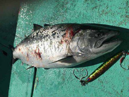 広進丸 釣果