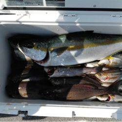 第二大福丸 釣果