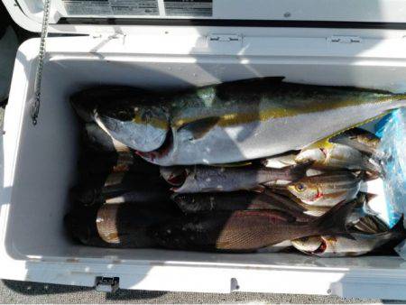 第二大福丸 釣果