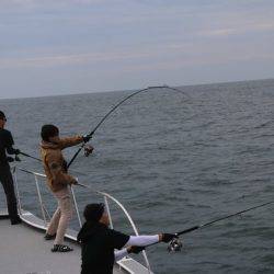 へいみつ丸 釣果