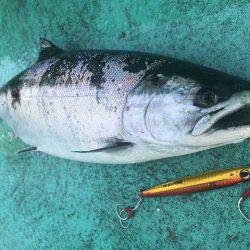 広進丸 釣果