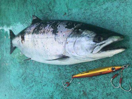 広進丸 釣果