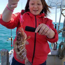 遊漁船 ニライカナイ 釣果