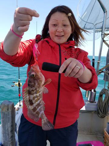 遊漁船 ニライカナイ 釣果