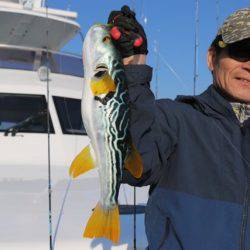 へいみつ丸 釣果