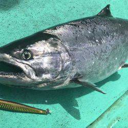 広進丸 釣果