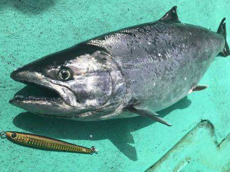 広進丸 釣果